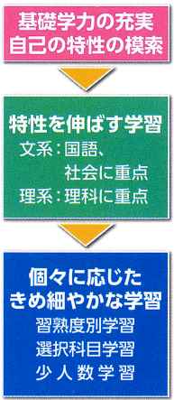 年次概略図